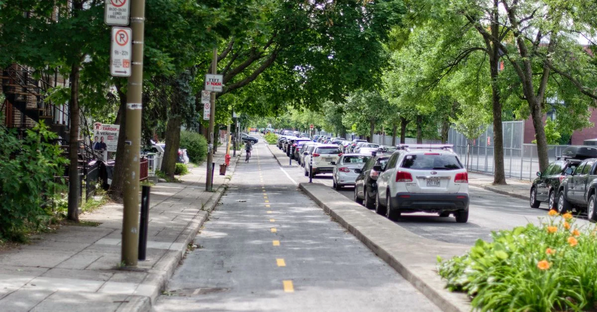 Rue de la ville avec des voitures garées le long d'une piste cyclable sous un couvert d'arbres verts.
